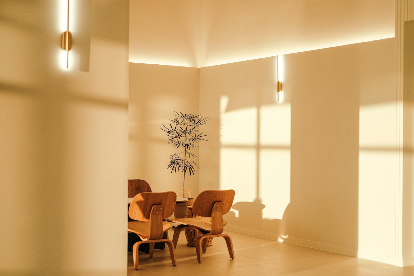 A dining room in warm daylight with a linen curtain
