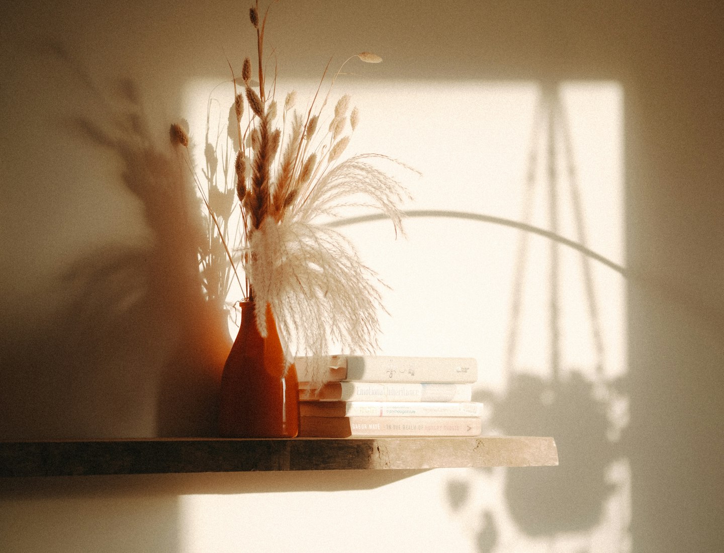 Dried grasses in a vase casting a shadow on a warm wall